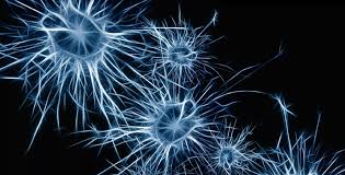 FASTING SERIES B: Fasting Promotes Growth of New Brain Cells
