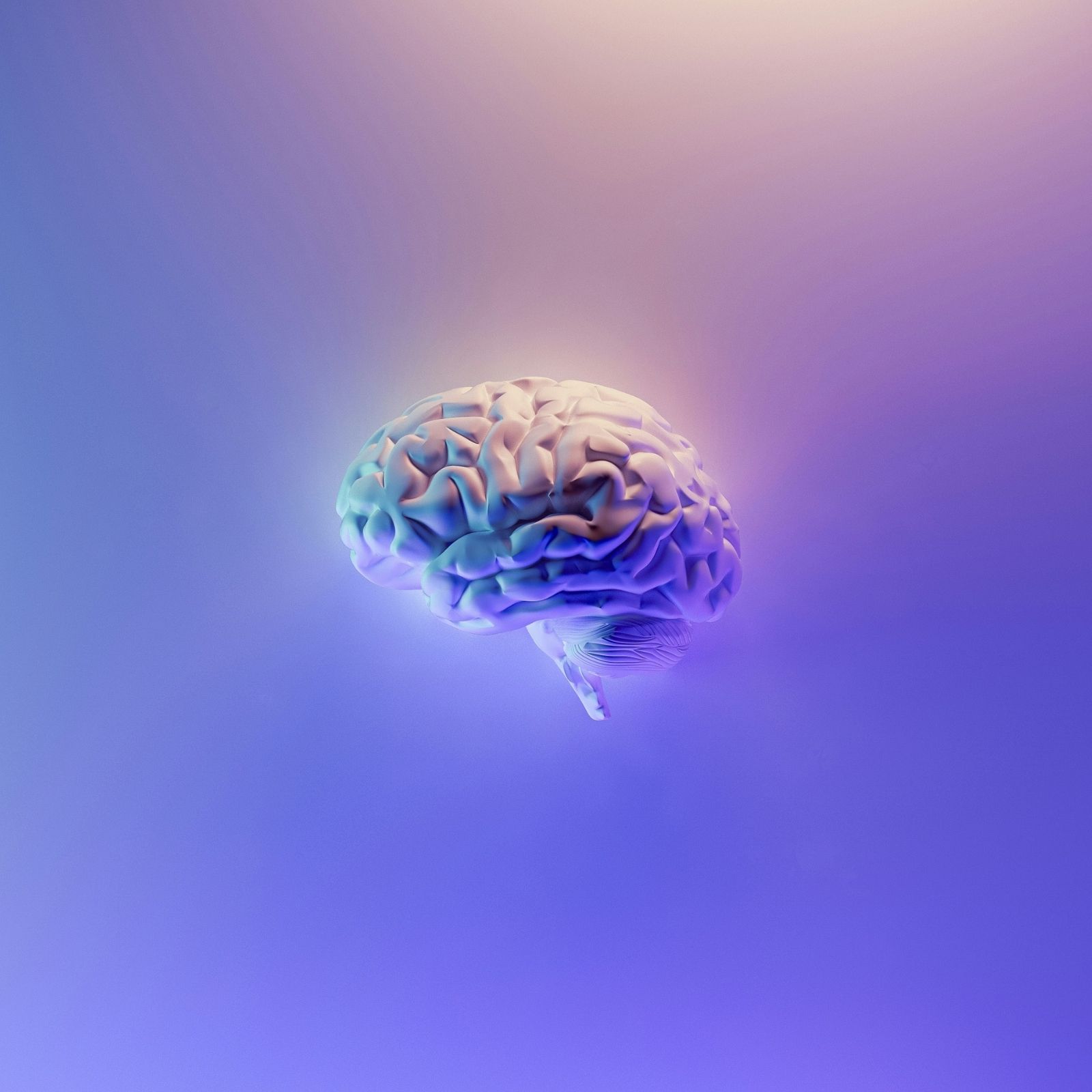 When Memory Snaps Out: Inside Transient Global Amnesia (TGA)